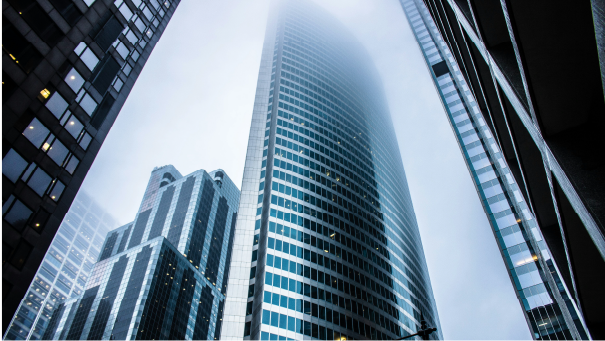 IT Advisory Services – Strategic Guidance by NTQ Europe