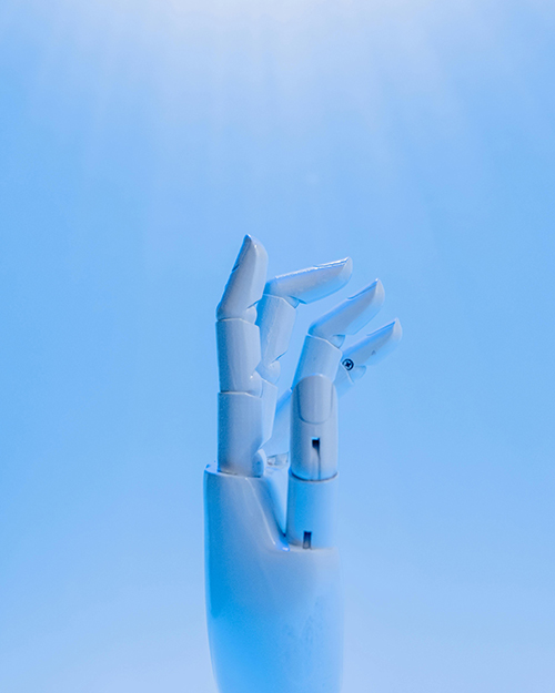 Our Embedded Services