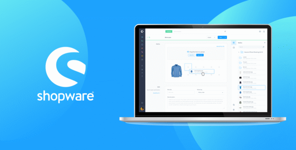 Maximizing Value with Expert Shopware Service Providers